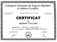 Expert arbitre certifié - Ludovic Rodrigues à Libourne - Nouvelle-Aquitaine